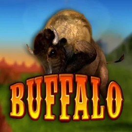 Play Buffalo Bingo slot by MGA Games on lippy-bingo.com